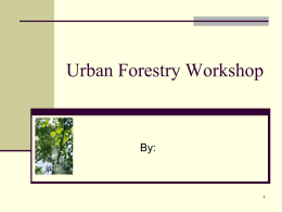 Urban Forestry Workshop - MTAS