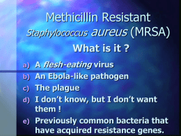 Staphylococcus aureus Management of a Problematic Pathogen