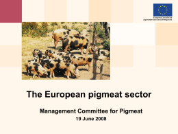 EU beef and veal market A brief overview and some