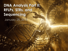 DNA Analysis Part II: RFLPs, STRs, and Sequencing