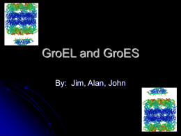 GroEL and GroES - ETH - D-INFK - TI