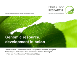Genomic resource development in onion - Main Page