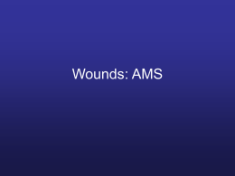 Wounds: AMS - Australian Medical Sheepskin Apparel