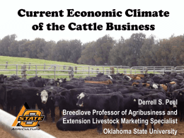 Current Economic Climate of the Cattle Business: What it
