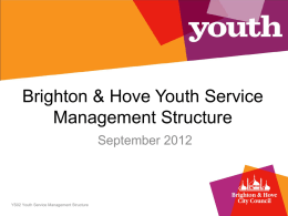 Youth Service Management Structure
