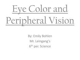 Eye Color and Peripheral Vision
