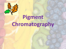 Pigment Chromatography - ESC-2