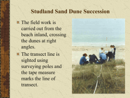 Studland Sand Dunes Fieldwork