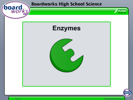 Enzymes - Boardworks Education