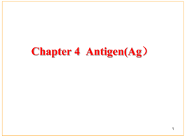 Chapter 13 Antigen - Shandong University