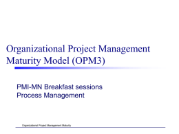 OPM3 Process Management