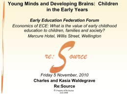 Healthy Families, Young Minds and Developing Brains