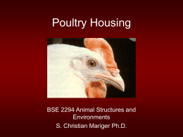 Poultry Housing - Biological Systems Engineering home