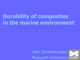 Environmental resistance of composites