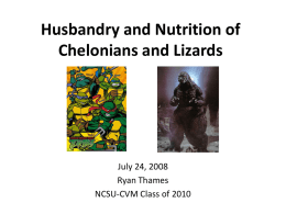 Husbandry and Nutrition of Lizards and Turtles