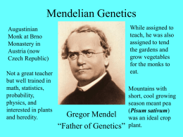Mendelian Genetics - Home Page for Ross Koning