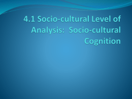 4.1 Socio-cultural Level of Analysis: Socio
