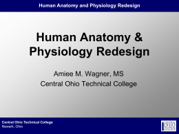 Human Anatomy & Physiology Redesign