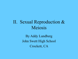 PowerPoint Presentation - II. Sexual Reproduction & Meiosis