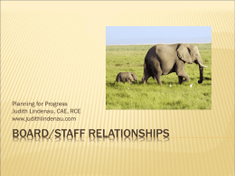 Board/Staff Relationships