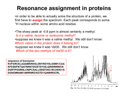 1D 1H NMR spectra of proteins