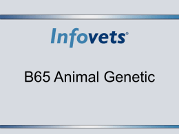 Animal Genetics PowerPoint
