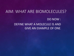 AIM: What are Macromolecules?