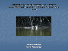 Habitat Ecology and Conservation of Lutrogale