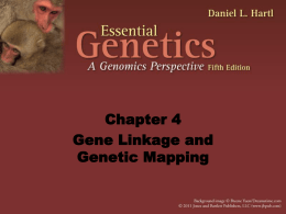 PowerPoint Presentation - Gene Linkage and Genetic Mapping