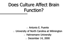 DOES CULTURE AFFECT BRAIN FUNCTION?: Answers From …