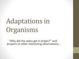 Adaptations in Organisms - Iroquois Central School District