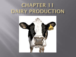 Chapter 11 Dairy Production