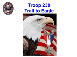 Troop 230 Eagle Candidate Seminar