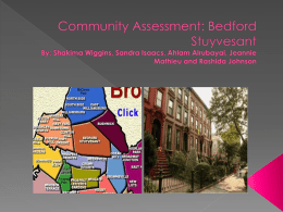 Community Assessment: Bedford Stuyvesant
