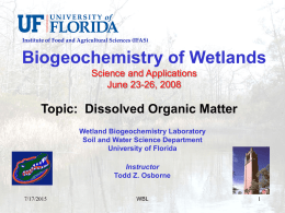Dissolved Organic Matter in Wetland Ecosystems