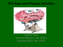 2014 The Brain and Physical Activities