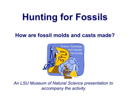 LSU Museum of Natural Science: Hunting for Fossils