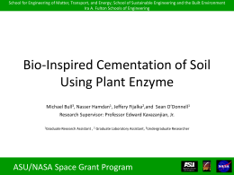 Bio-Cementation of Soil Using Plant Enzyme