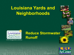 Reduce Stormwater Runoff