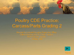 Poultry CDE Practice: Carcass/Parts Grading 2