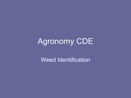 Agronomy CDE - Utah State University Extension