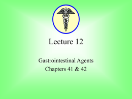 PowerPoint Presentation - Lecture 12