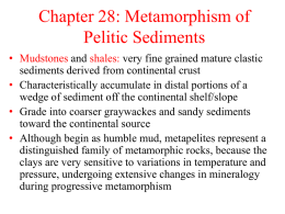 Chapter 28: Met of Pelites