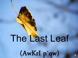 The last leaf