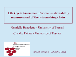 Life Cycle Assessment for the sustainability measurement