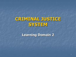 CRIMINAL JUSTICE SYSTEM
