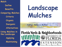 A Comparison of Landscape Mulches