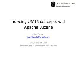 Indexing UMLS concepts with Apache Lucene