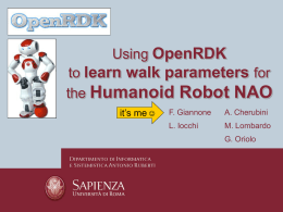 Learning Walk Parameters for Humanoid Robot NAO
