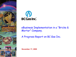 eBusiness Implementation in a “Bricks & Mortar” Company